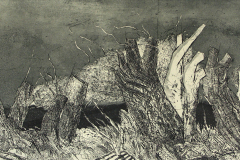 2. Kopfweiden, Radierung/Aquatinta, 1992, 24 x 65 cm